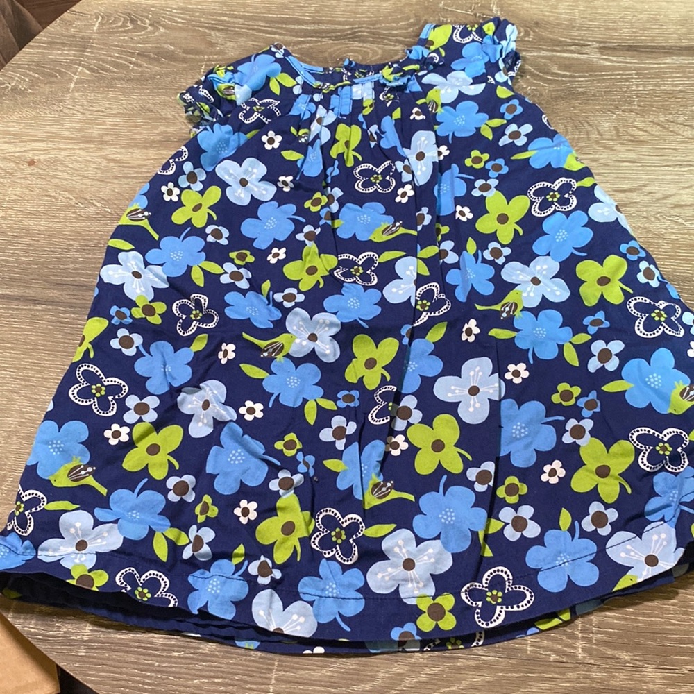 Carters size 24 month dress